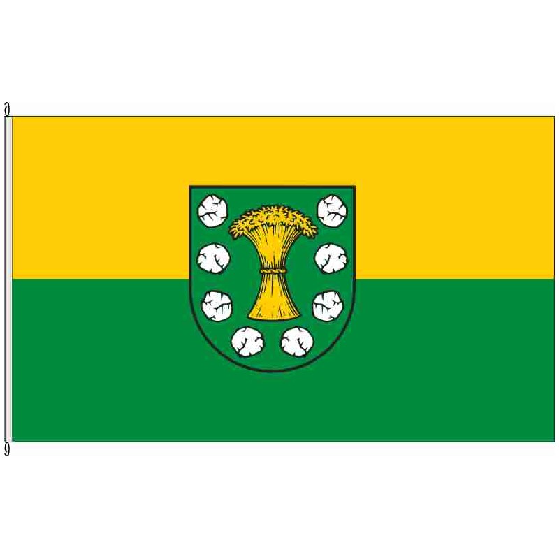 Fahne Flagge ABI-Gehrden