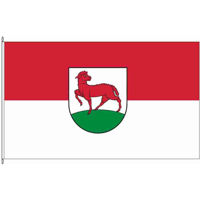 Fahne Flagge BK-Gunsleben