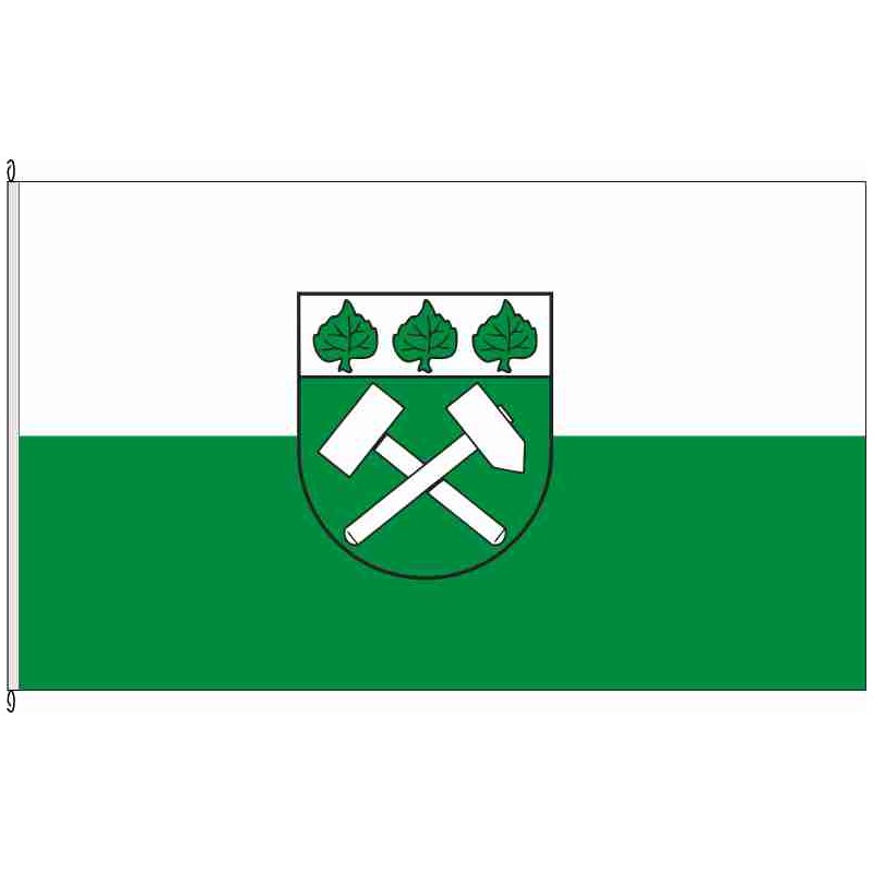 Fahne Flagge BK-Beendorf