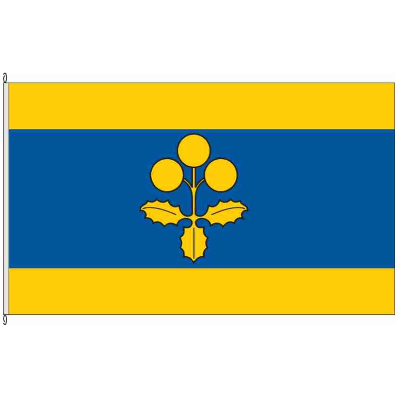 Fahne Flagge BK-Druxberge