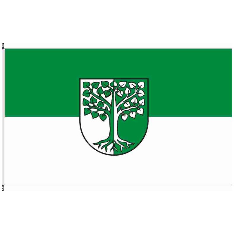 Fahne Flagge BK-Behnsdorf