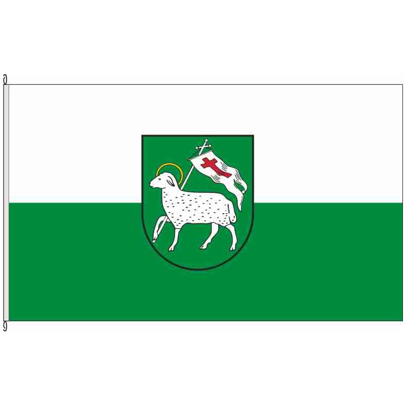 Fahne Flagge BK-Dahlenwarsleben