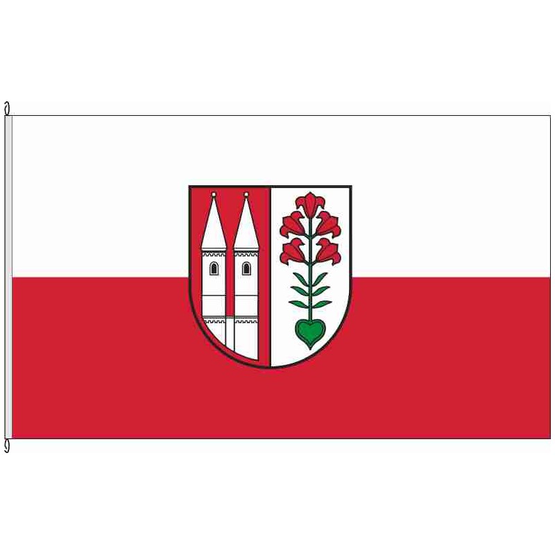 Fahne Flagge BK-Hillersleben