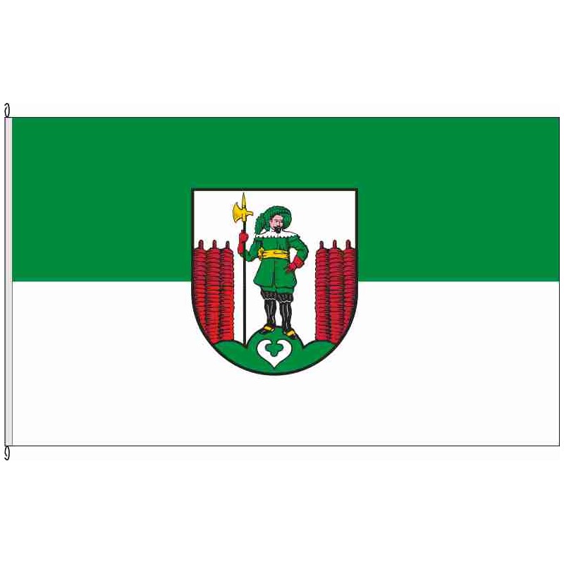 Fahne Flagge BK-Farsleben
