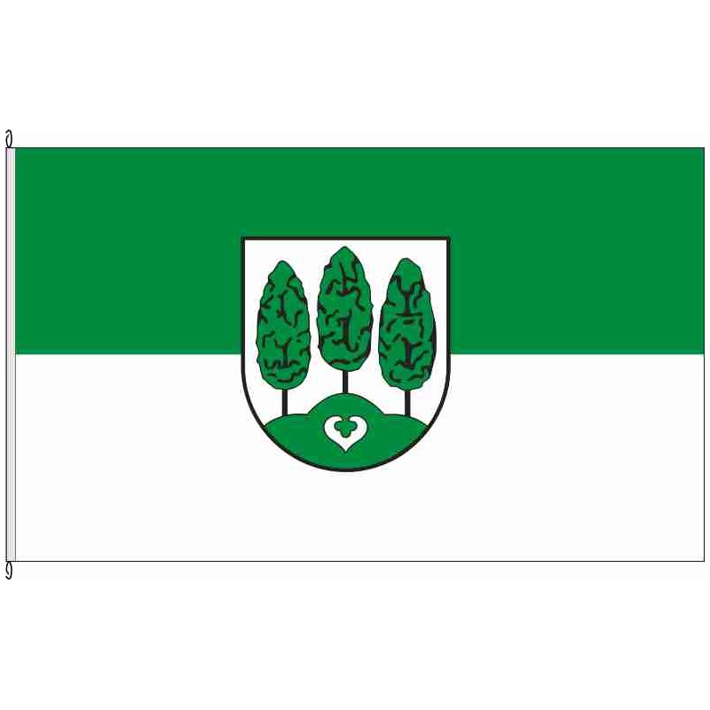 Fahne Flagge BK-Farsleben inoff.
