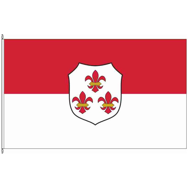 Fahne Flagge JL-Parey