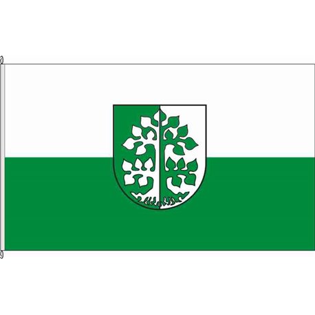 Fahne Flagge MSH-Wimmelburg