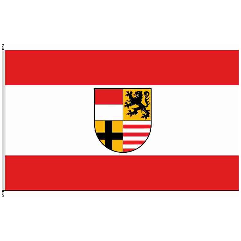Fahne Flagge SK-Saalekreis