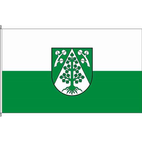 Fahne Flagge SK-Teutschenthal
