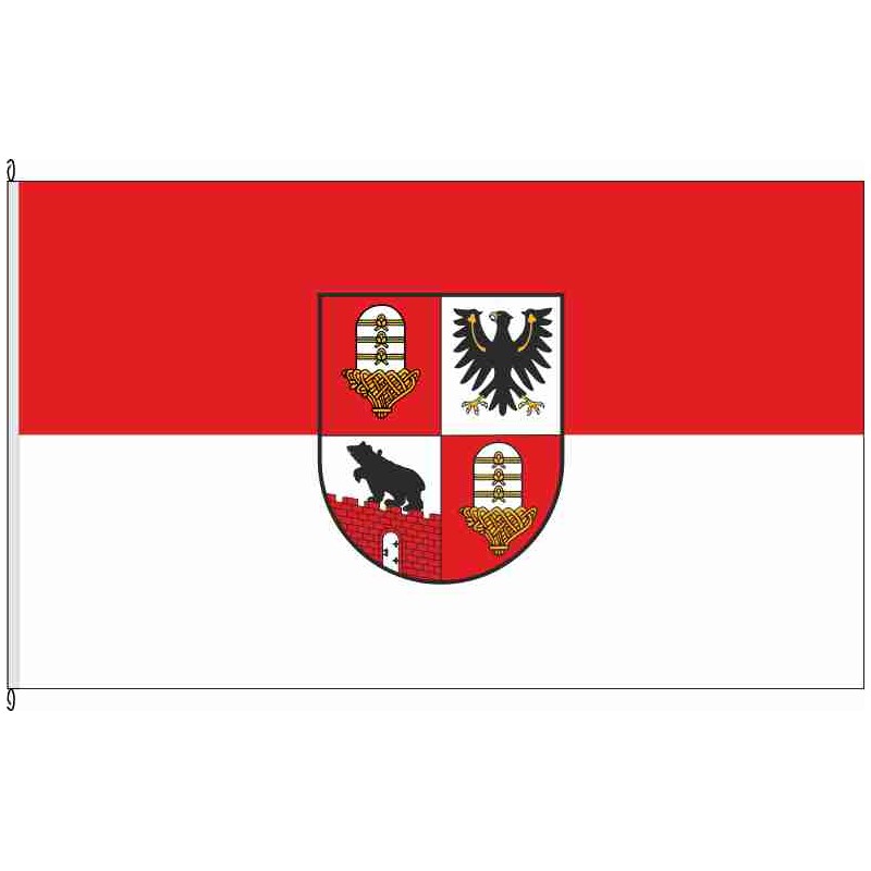 Fahne Flagge SLK-Salzlandkreis