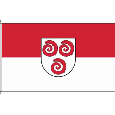Fahne Flagge SLK-Alsleben (Saale)