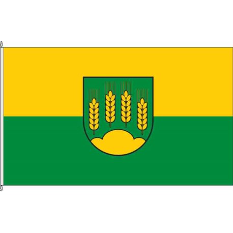 Fahne Flagge SLK-Hecklingen