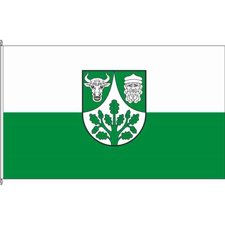 Fahne Flagge SLK-Ilberstedt