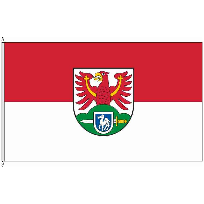 Fahne Flagge SDL-Vinzelberg