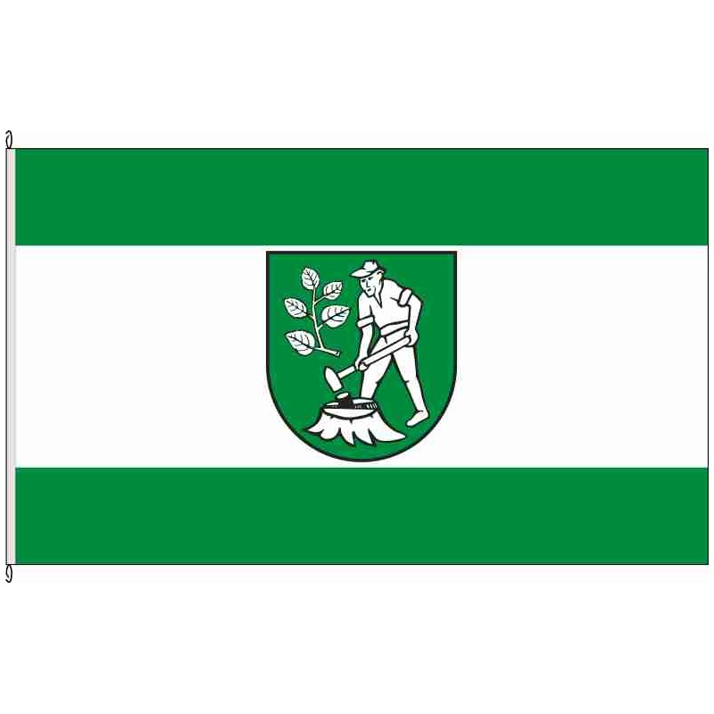 Fahne Flagge Heilbad Heiligenstadt Hissflagge 90 x 150 cm
