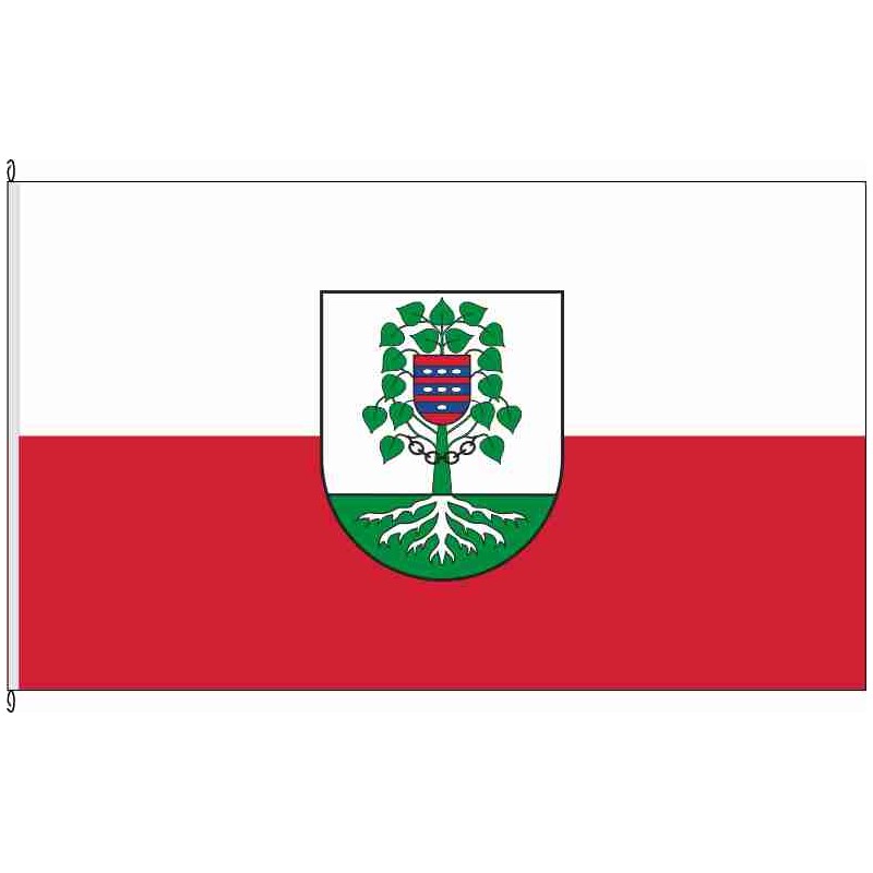 Fahne Flagge EIC-Birkenfelde