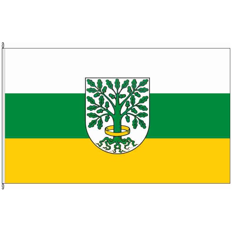 Fahne Flagge EIC-Dingelstädt
