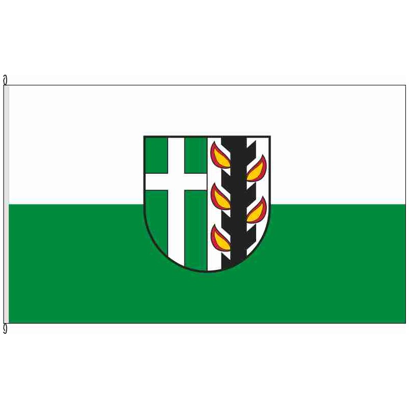 Fahne Flagge EIC-Pfaffschwende