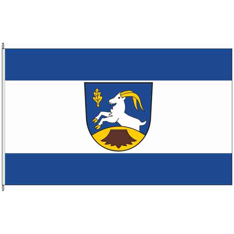 Fahne Flagge EIC-Steinheuterode