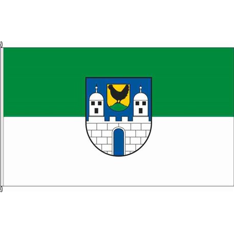 Fahne Flagge SM-Wasungen