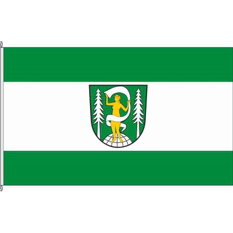 Fahne Flagge IK-Böhlen