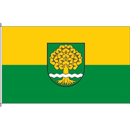 Fahne Flagge IK-Ilmtal
