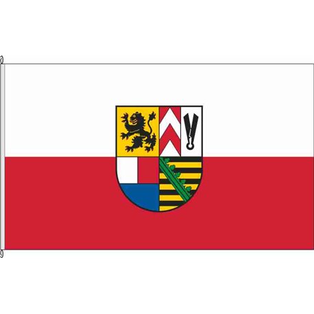 Fahne Flagge SON-Landkreis Sonneberg