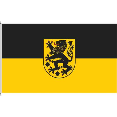 Fahne Flagge SON-Sonneberg