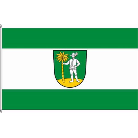 Fahne Flagge SLF-Reichmannsdorf