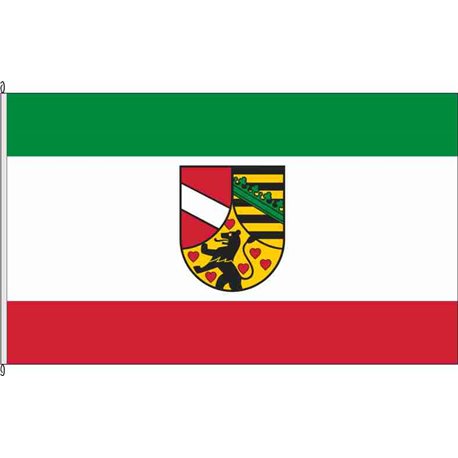 Fahne Flagge SHK-Saale-Holzland-Kreis