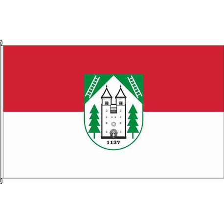 Fahne Flagge SHK-Bad Klosterlausnitz