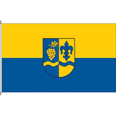Fahne Flagge SHK-Reinstädt