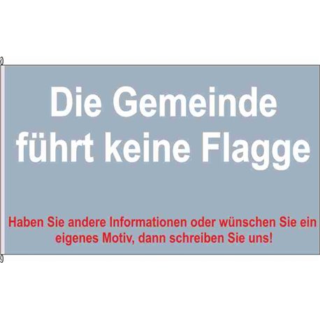 Fahne Flagge ABG-Haselbach