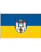 Fahne von Neustadt an der Orla