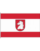 Fahne von Diepenau